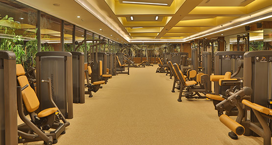 GYM (Steam, Sona, Zocoocy)