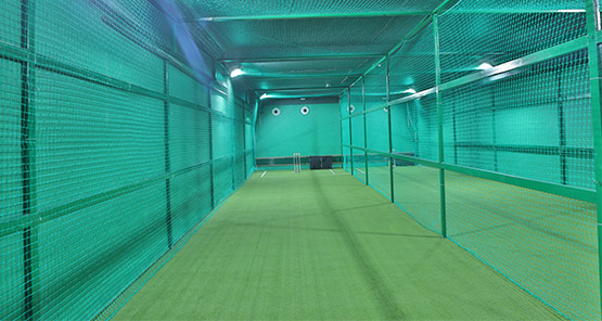 Cricket